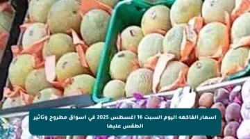 أسعار الفاكهة اليوم السبت 16 أغسطس 2025 في أسواق مطروح وتأثير الطقس عليها